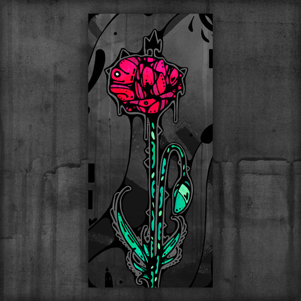 darkness illuminates