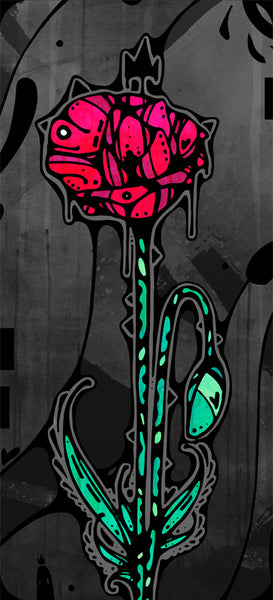 darkness illuminates